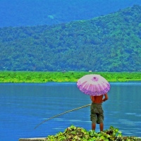 The Halcyon Lake Buhi In Camarines Sur