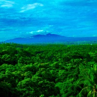 The Mystical Mountain of Maria Makiling